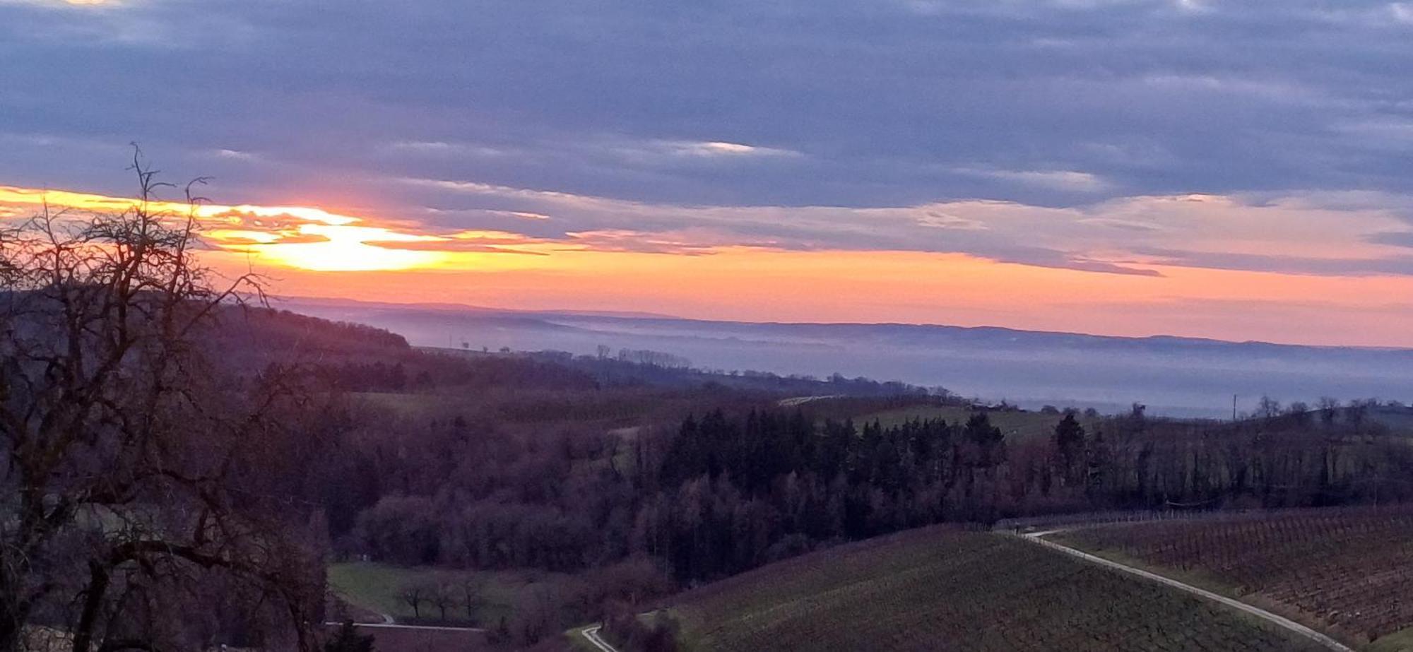 Ferienwohnung Am Blumengaessle Mullheim  Buitenkant foto