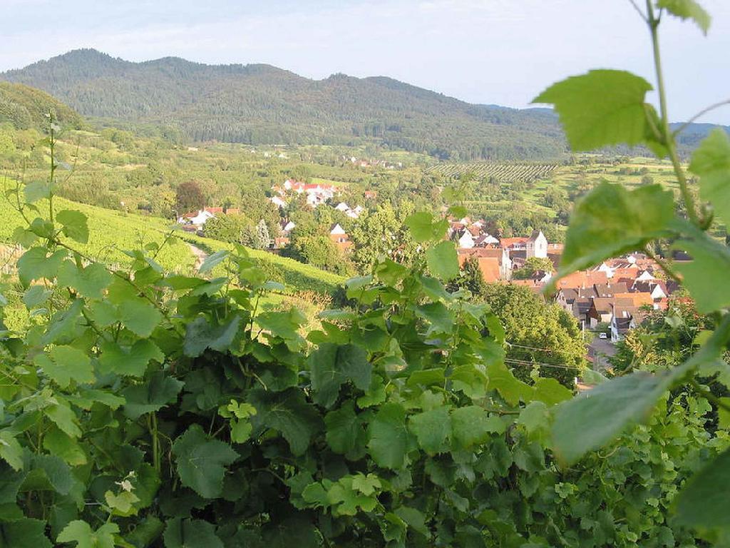 Ferienwohnung Am Blumengaessle Mullheim  Buitenkant foto